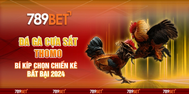 7-da-ga-cua-sat-thomo-bi-kip-chon-chien-ke-bat-bai-2024