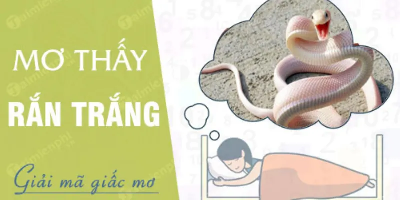 KuBet giải đáp cùng bạn