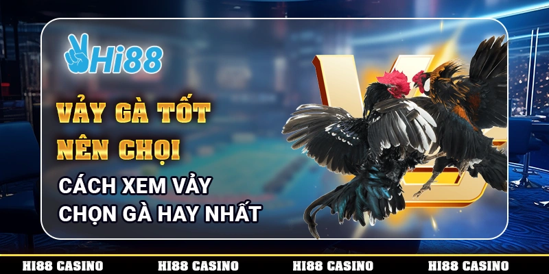 Vảy Gà Tốt Nên Chọi - Cách Xem Vảy Chọn Gà Hay Nhất 1 Vảy Gà Tốt Nên Chọi - Cách Xem Vảy Chọn Gà Hay Nhất