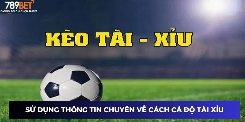 Sử dụng thông tin chuyên về cách cá độ bóng đá tài xỉu