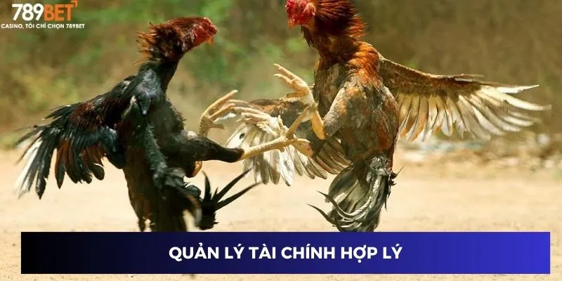 Quản lý tài chính hợp lý
