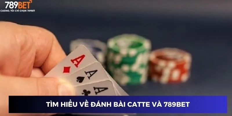 Đánh Bài Catte – Cách Chơi Độc Đáo, Thắng Lớn Tại 789BET 2 Tìm hiểu về Đánh bài catte và 789BET