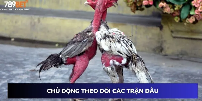 Chủ động theo dõi các trận đấu
