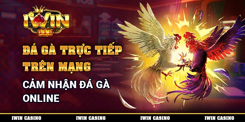 Đá Gà Trực Tiếp Trên Mạng - Cảm Nhận Đua Gà Online 1 Đá Gà Trực Tiếp Trên Mạng - Cảm Nhận Đua Gà Online