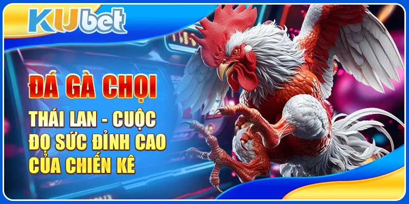 Đá Gà Chọi Thái Lan - Cuộc Đọ Sức Đỉnh Cao Của Chiến Kê 1 đá gà chọi thái lan