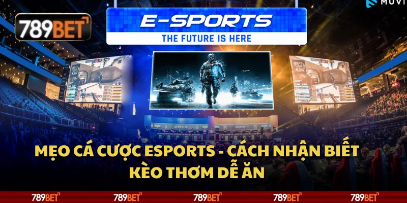 Mẹo cá cược Esports - Cách nhận biết kèo thơm dễ ăn 1 Mẹo cá cược Esports - Cách nhận biết kèo thơm dễ ăn