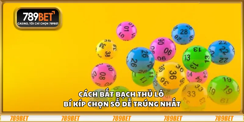 Cách bắt bạch thủ lô - Bí kíp chọn số dễ trúng nhất 9 Cách bắt bạch thủ lô - Bí kíp chọn số dễ trúng nhất