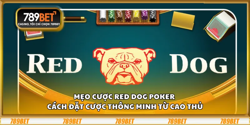 Mẹo cược Red Dog Poker – Cách đặt cược thông minh từ cao thủ 10 Mẹo cược Red Dog Poker – Cách đặt cược thông minh từ cao thủ