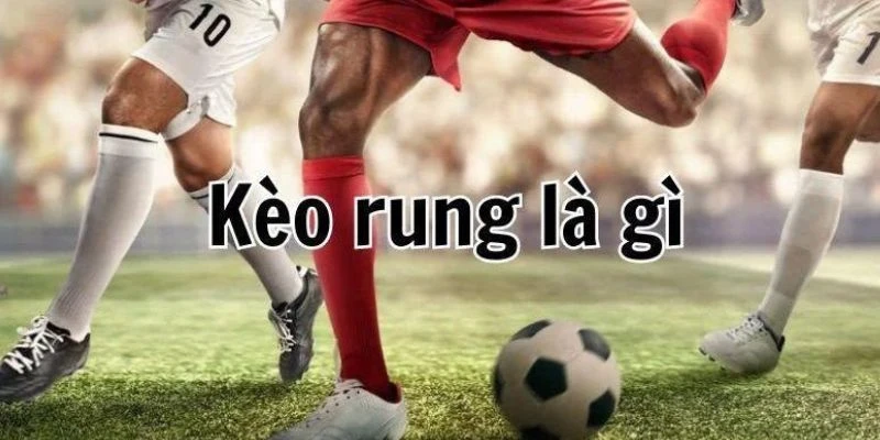 Thời điểm vàng để bắt kèo rung chính xác