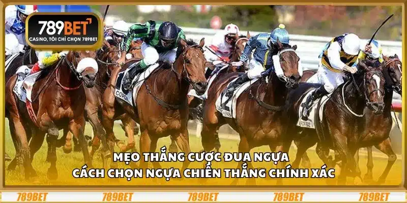Mẹo thắng cược đua ngựa - Cách chọn ngựa chiến thắng chính xác